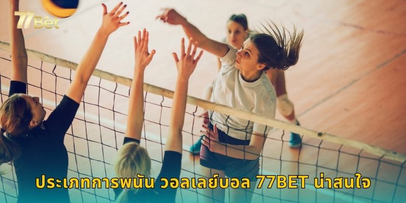 ประเภทการพนัน วอลเลย์บอล 77BET น่าสนใจ