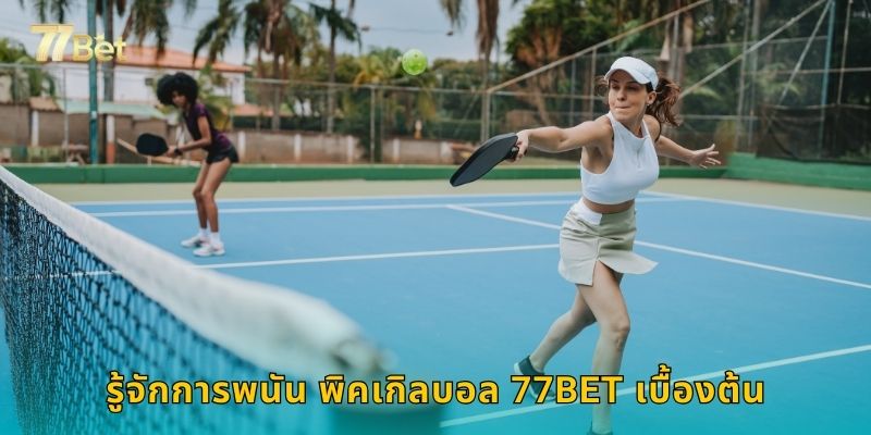 รู้จักการพนัน พิคเกิลบอล 77BET เบื้องต้น